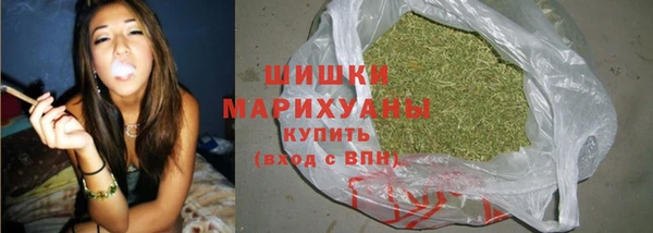 винт Гусев