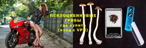 соль курить ск Гусиноозёрск