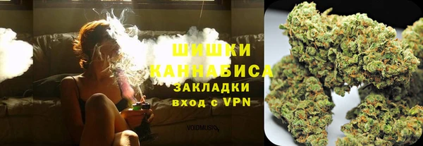 винт Гусев