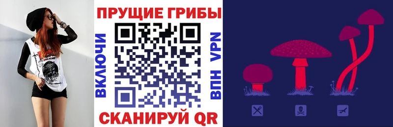 Купить  Соликамск  Галлюциногенные грибы Magic Shrooms 
