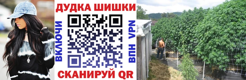 Бошки марихуана MAZAR  Купить  Соликамск 